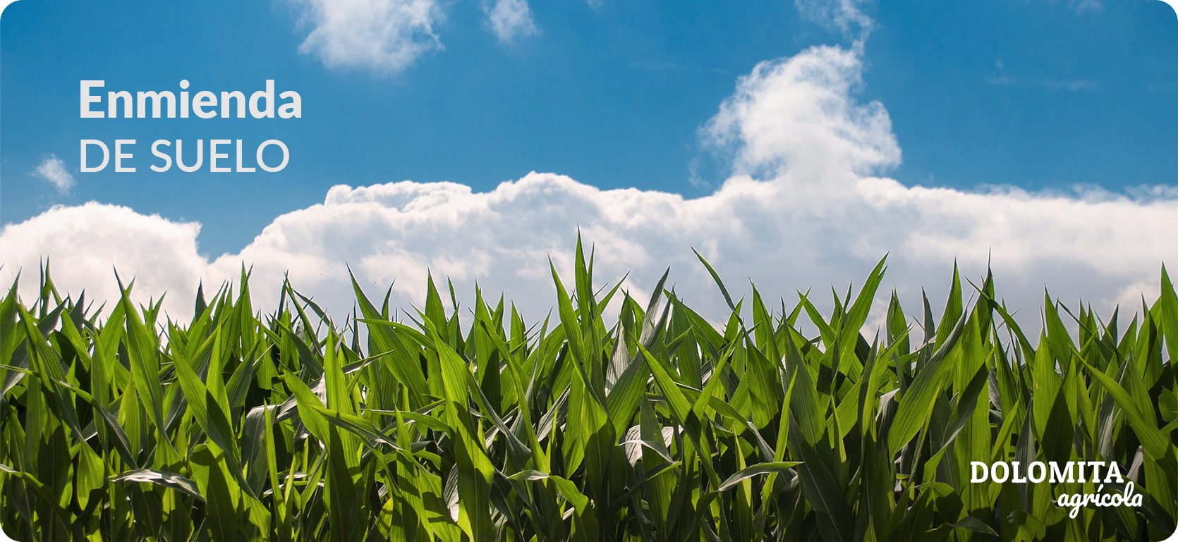 03_Slider_ENMIENDA AGRICOLA_